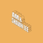 AM & Shawn Lee - You Are In My System