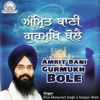 Amrit Bani Gurmukh Bole