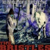 The Bristles - No Revolution in Our Life Time