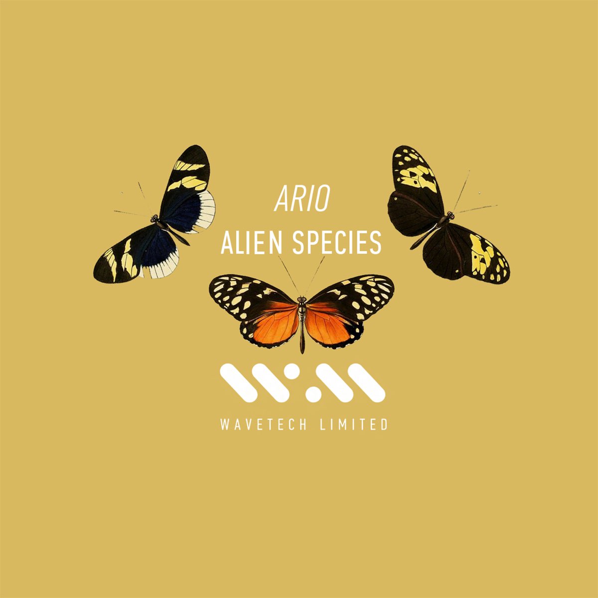 Alien Species - Single by Ario on Apple Music