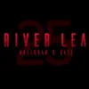River Lea (Acoustic Version) - Single album lyrics, reviews, download