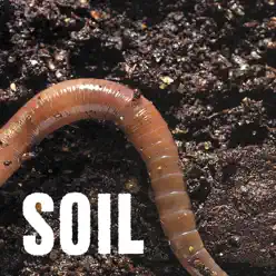 SOiL - EP - Soil