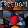 Stream & download Freedom - Single