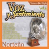 Voz y Sentimiento Norteño, Vol. 4