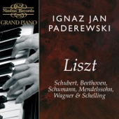 Ignaz Jan Paderewski - Piano Sonata No. 14 in C-Sharp Minor, Op. 27 No. 2 "Moonlight"