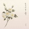 다정 - 한여름 밤의 꿈
