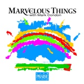 Marvelous Things (Marvelous Things (HM98)) artwork