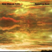 Sunshine Seas (feat. Vanessa Saft) artwork