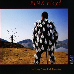 Pink Floyd - Learning to Fly