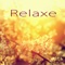 Super Relaxante - Relaxamento lyrics