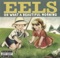 Oh What a Beautiful Morning - Eels lyrics
