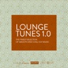 Lounge Tunes 1.0 (The Finest Selection of Smooth and Chill Out Music), 2015