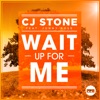 Wait up for Me (feat. Jonny Rose) [Remixes]