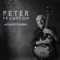 Fig Tree Bay - Peter Frampton lyrics