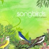 Songbirds