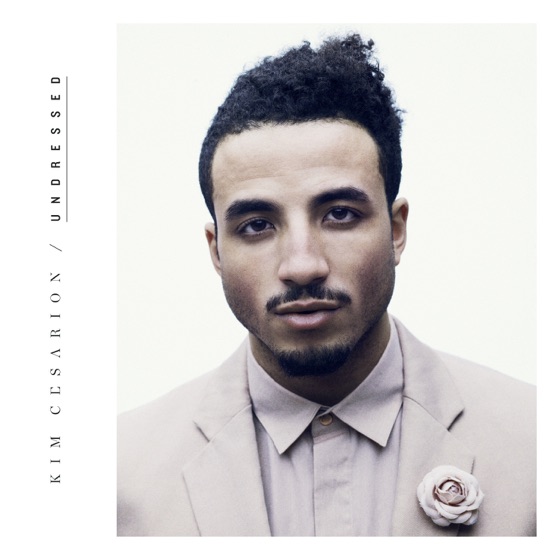 Cover artwork for Undressed
