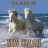 New Chaabi