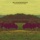 Blackberries - Flowers Paint The Sky