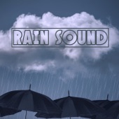 Rain Sound artwork