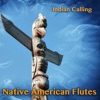 Native American Flutes (11 Relaxing Indian Songs Performed on Native American Flute)