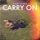 Janne Schra - Carry On (Mason Remix)