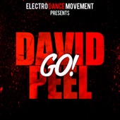 David Peel - Go! (Original Mix)