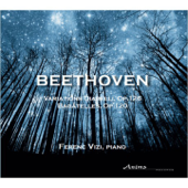 Beethoven - Ferenc Vizi