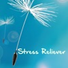 Stress Reliever - Stress Management Music
