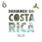 Drømmen om Costa Rica (feat. David Amaro) - Bajo lyrics