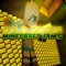 Gold Digger - Minecraft Jams lyrics