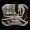 All Too Human - Martin Page lyrics