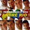 Leão do Norte (Ao Vivo) - Andre Rio lyrics