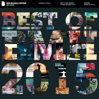 Best of Big Mamas House Records 2015 (Deluxe Version) by Various Artists album reviews, ratings, credits