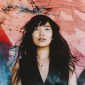 Thao & the Get Down Stay Down - Meticulous Bird