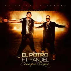 Como Yo Te Quiero (feat. Yandel) - Single by El Potro album reviews, ratings, credits