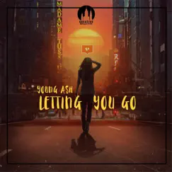 Letting You Go - Single by Young Ash album reviews, ratings, credits