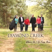 Diamond Creek - All the Good Times Are Past and Gone