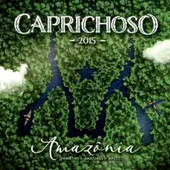 Caprichoso 2015 - Amazônia - David Assayag