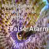 False Alarm (feat. Tweety) album lyrics, reviews, download