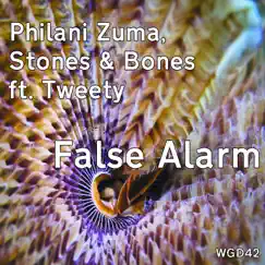 False Alarm (feat. Tweety) Song Lyrics