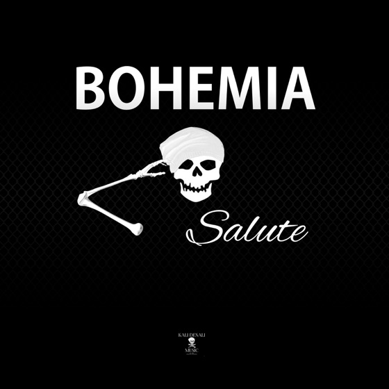 Cover artwork for Salute