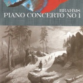 Piano Concerto No. 1 in D Minor, Op. 15 artwork