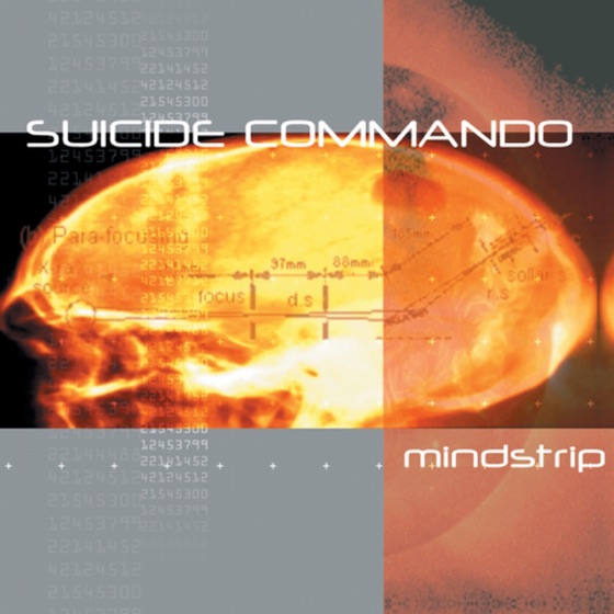 Cover artwork for Mindstripper