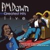 P.M. Dawn: Greatest Hits Live! artwork