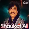 Best of Shaukat Ali album lyrics, reviews, download