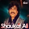 Jab Bahaar Ayi to Sehra (feat. DJ Chino) - Shaukat Ali lyrics