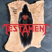 The Very Best of Testament artwork
