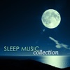 Sleep Music - Best of Sleep Music Sounds Collection