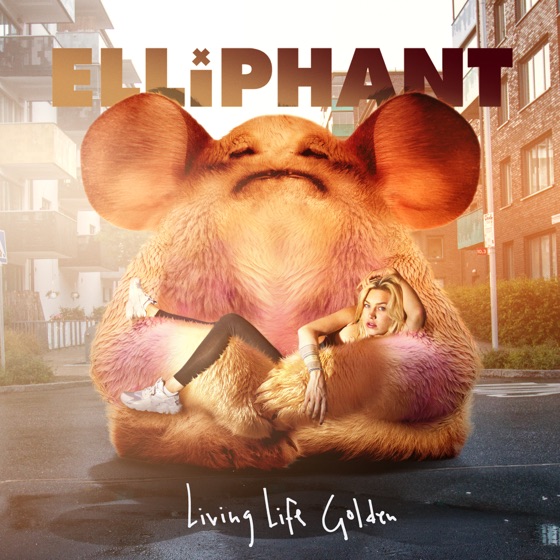 Cover artwork for Step Down