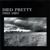 Died Pretty - Blue Sky Day